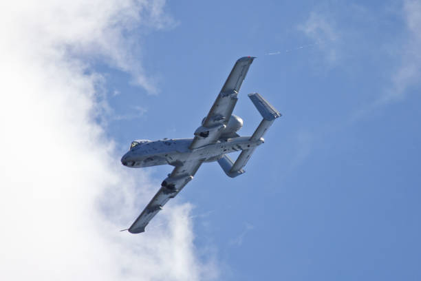 A-10 Warthog flying at a distant Tuscaloosa AL USA - October 13, 2018 : Taken this picture at a public event of the A-10 Warthog flying in front of spectators and general public. Tried to take full profile of the aircraft from behind when it is taking a full circle to come back again. A-10 aerodynamic allows it to take a sharp turn at slow air speed against the overcast sky. A-10 can be identified from a distant due to its placement of the engine outside the main fuselage of the aircraft. warthog stock pictures, royalty-free photos & images