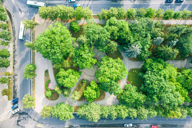 istock city boulevard. aerial top view 1160692868