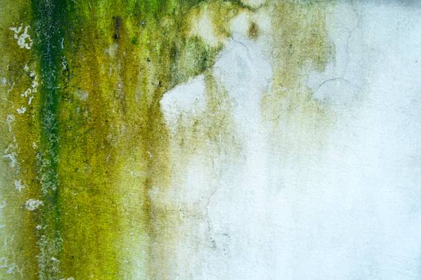 Old weathered wall backdrop or texture