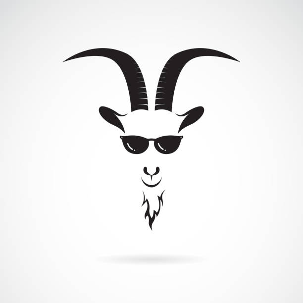 illustrations, cliparts, dessins animés et icônes de vecteur de tête de chèvre utilisant des lunettes de soleil sur le fond blanc. animaux sauvages. illustration vectorielle en couches modifiables faciles. - caprin