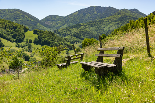 Landscape with hiking trail and benches in the southern Black Forest near Munestertal with a view of valleys and forest.