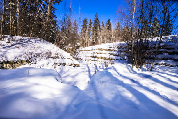 istock Mill Creek Ravine Park 1160697735