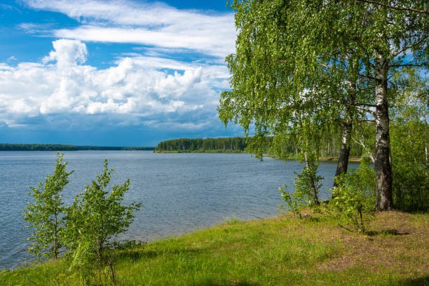 istock Beautiful river landscape with birches on the shore on a summer day. 1160697868