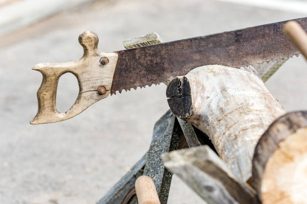 istock Old rusty saw with wooden handle 1160699001