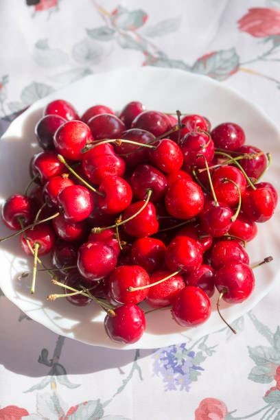 istock Ripe summer cherries in bowl 1160700103