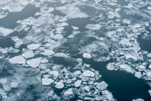 istock Broken up ice in a fjord seen from above 1160701567