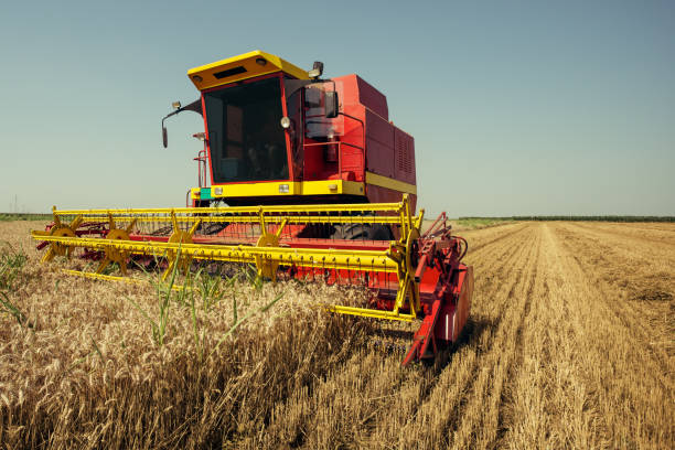 istock Harvester harvests wheat on field 1160702629