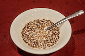 Chocolate cereal with fresh milk