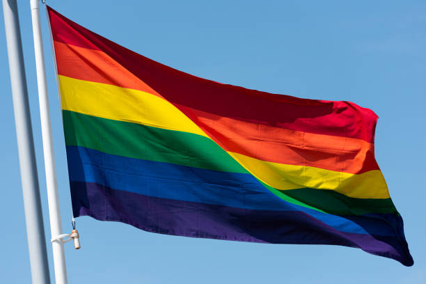 istock Rainbow flag waving in the breeze. 1160703365