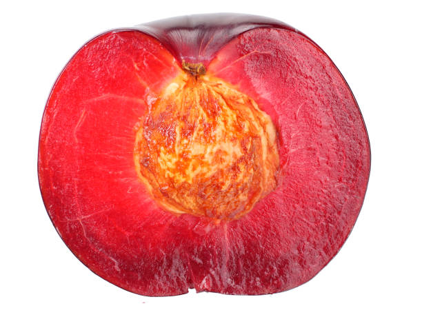 istock half plum fruit isolated on white background. cut plum slices 1160703453