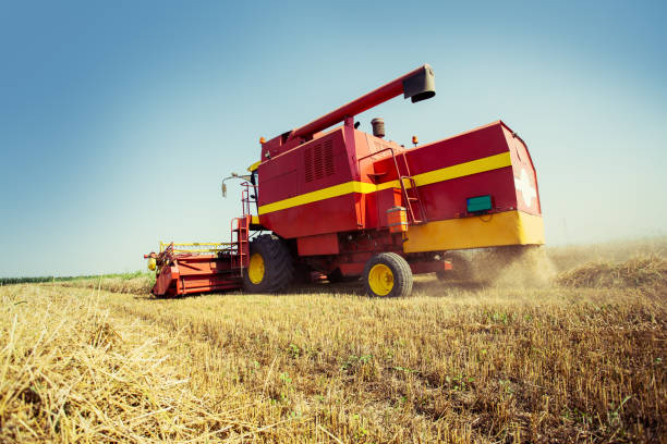 istock Harvester harvests wheat on field 1160704920