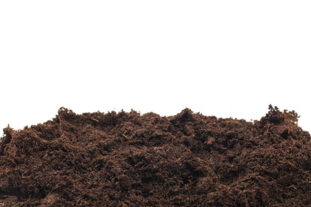 istock pile of soil isolated on white background - Image 1160706929