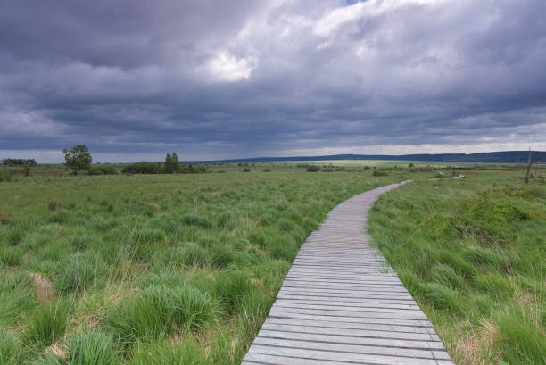 Stormy on wooden path of Baraque Michel (Belgium mountain)