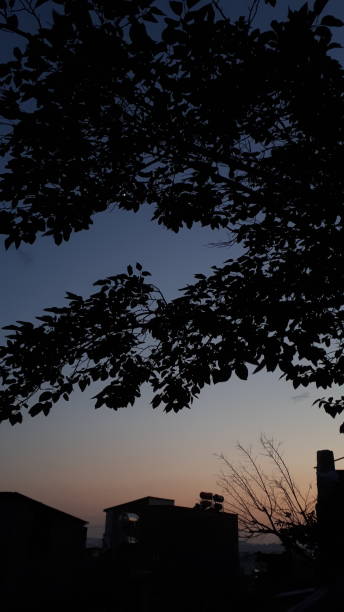 istock Night Dark, Trees and Buildings Silhouette 1160709454