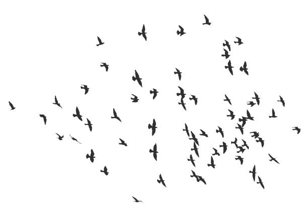 istock silhouette of a flock of flying birds. 1160710813