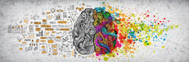 왼쪽 오른쪽 인간의 뇌 개념, 질감 그림. 인간의 뇌의 창조적 인 좌우 부분, 왼쪽의 사회 및 비즈니스 낙서 그림과 이모티콘 및 논리 부품 개념, 오른쪽의 아트 페인트 스플래시 - 반구체 stock illustrations