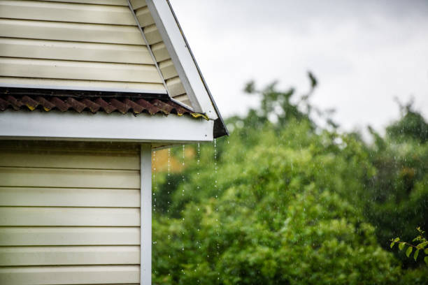 istock Storm rain drips down from the roof 1160712060