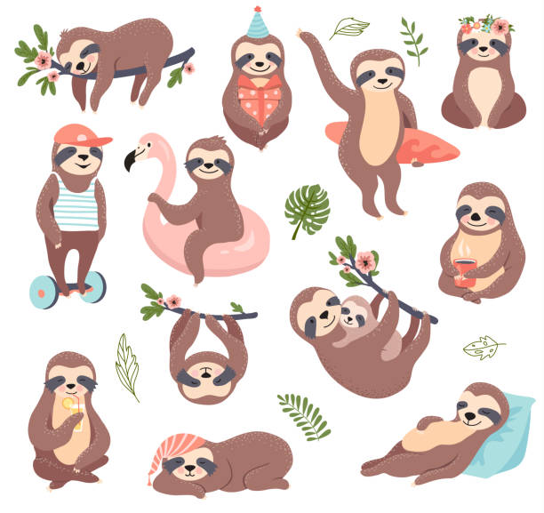 Cute sloth bear set. Cute sloth bear set, funny vector illustration for print, posters, sticker kit. lazy stock illustrations