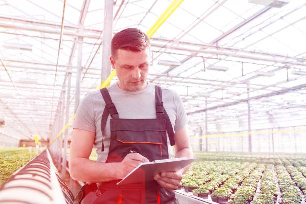 istock Male botanist writing on clipboard amidst herbs while walking in greenhouse 1160712342