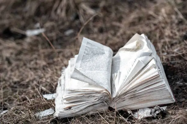 Photo of The crumpled uncombed book lying on the earth