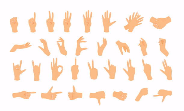 Hands in various gestures. Flat design modern vector illustration concept. Hands in various gestures. Flat design modern vector illustration concept. pointing illustrations stock illustrations
