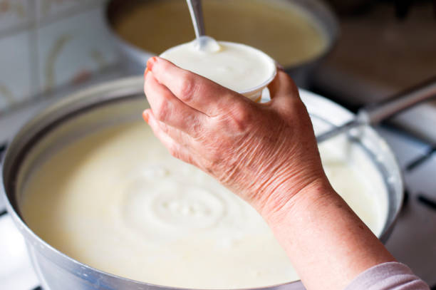 istock Hands of senior woman who is making yoghurt 1160713755