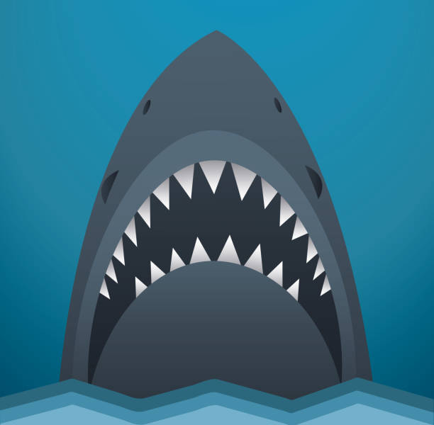 ilustraciones, imágenes clip art, dibujos animados e iconos de stock de ilustración vectorial de icono de tiburón - afilado ilustraciones