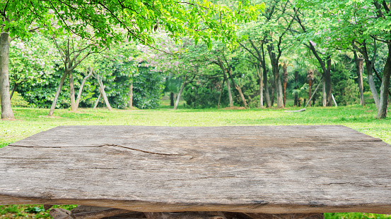 Old wooden table with spring green garden background