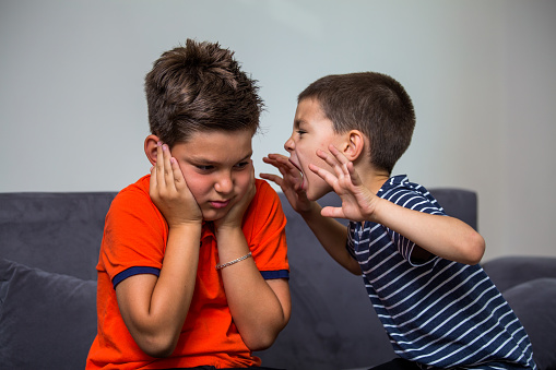 Quarreling kids - boy shouting at his brother