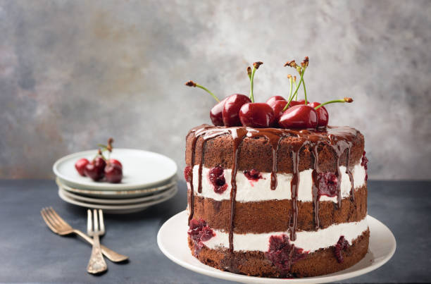 Black Forest Cake in modern way with fresh cherries. Copy space. Schwartzwald Torte. Black Forest Cake in modern way with fresh cherries. Copy space. Schwartzwald Torte. torte photos stock pictures, royalty-free photos & images