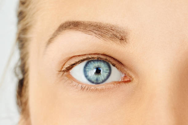 крупным планом женский голубой глаз без макияжа - голубые глаза стоковые фото и изображения