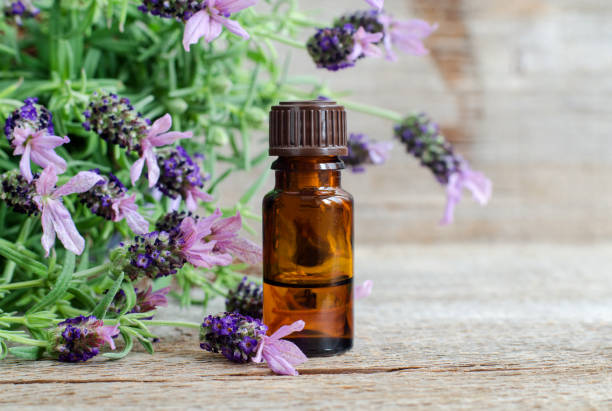 kleine flasche mit ätherischem lavendelöl. lavandula blumen aus der nähe. aromatherapie, spa und kräutermedizin zutaten. alte holzhintergrund. kopieren sie den speicherplatz. - ayurveda massaging spa treatment massage oil stock-fotos und bilder