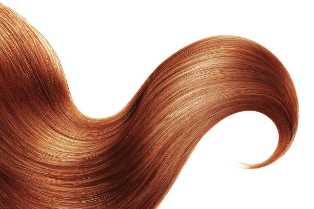 istock Henna hair isolated on white background. Long ponytail 1160726121
