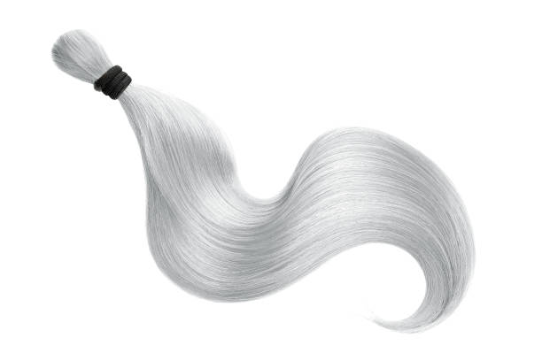 istock Gray hair isolated on white background. Long ponytail 1160726469