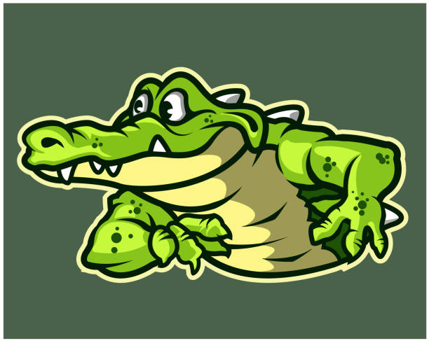 Gator Simple Vector 2,300+ Gator Mascot Stock Illustrations, Royalty-Free Vector Graphics ...