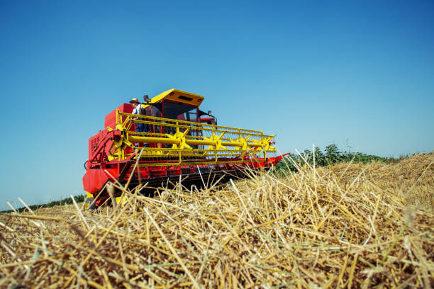 istock Farmer in wheat field with harvester 1160729354