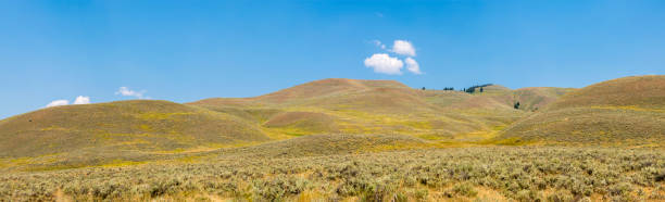 istock narure landscape in Lamar Valley in Yellowstone National Park 1160729382