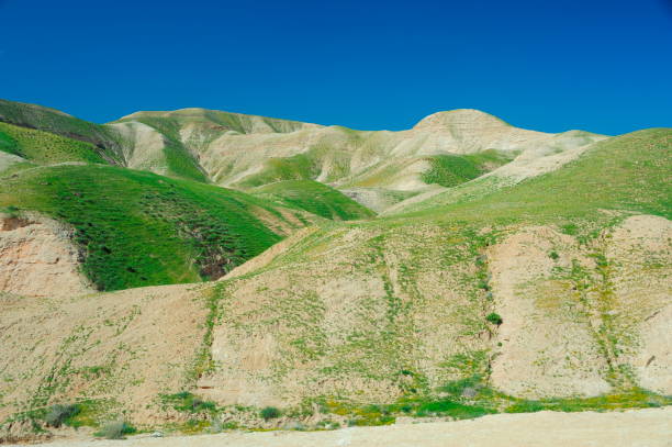 istock Beauty in Nature in Tel Aviv 1160729742