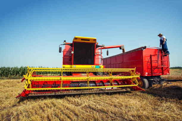 istock Farmer in wheat field with harvester 1160729765