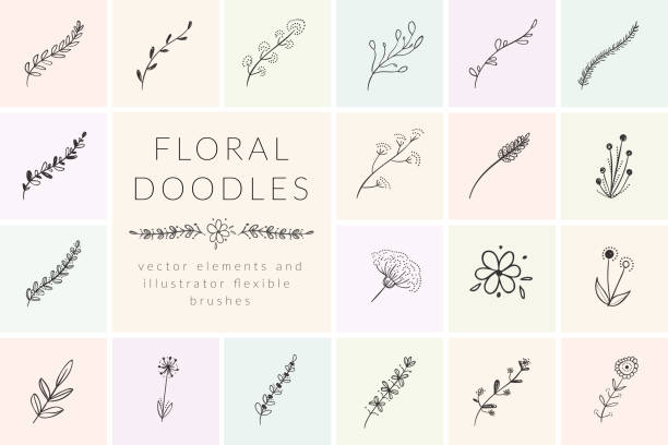 Flores e plantas desenhados mão do Doodle do vetor - ilustração de arte em vetor