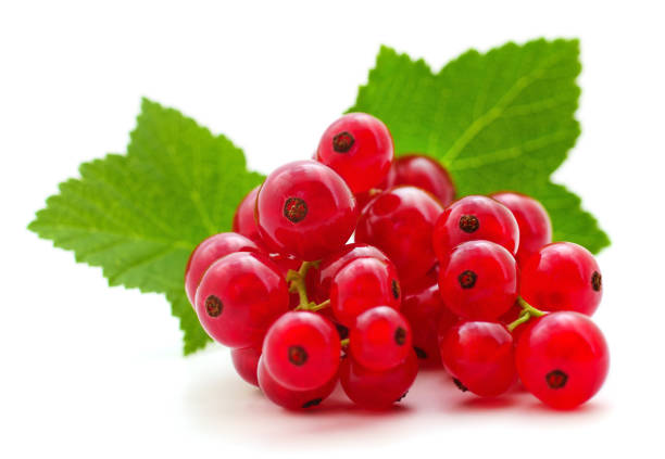 istock Red currants with green leaves. 1160730811