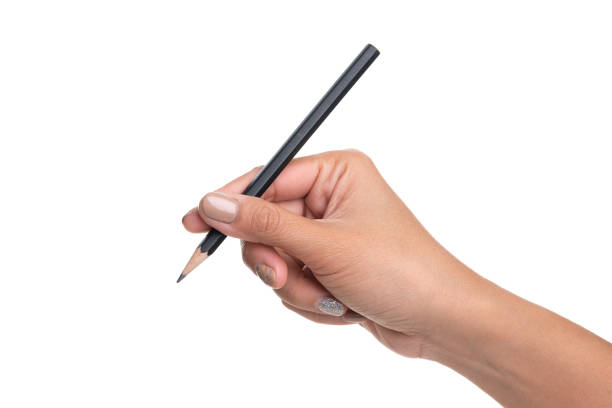 istock Woman hand holding pencil, writing, drawing, pointing isolated on white 1160733684