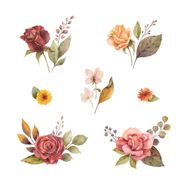 illustrazioni stock, clip art, cartoni animati e icone di tendenza di set autunnale vettoriale ad acquerello con foglie e rami isolati su sfondo bianco. - bouquet bunch cut out drop