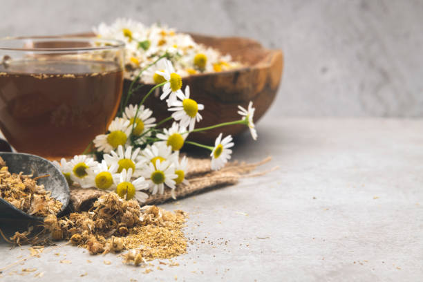 카모마일 - chamomile herbal tea chamomile plant tea 뉴스 사진 이미지