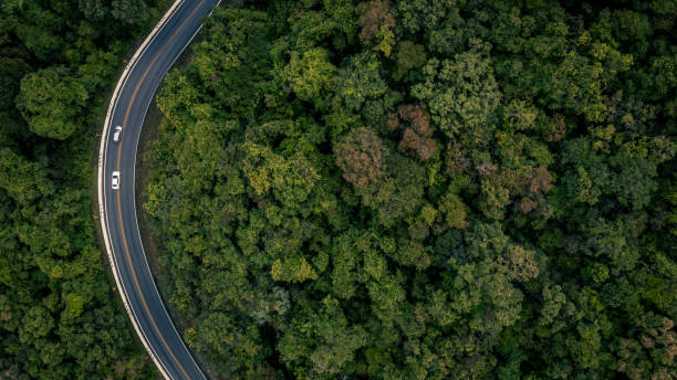 istock Aerial view over tropical tree forest with a road going through with car, Forest Road. 1160739356