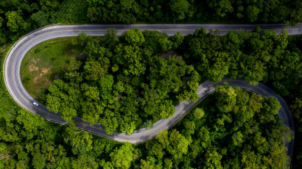 istock Aerial view over tropical tree forest with a road going through with car, Forest Road. 1160739565