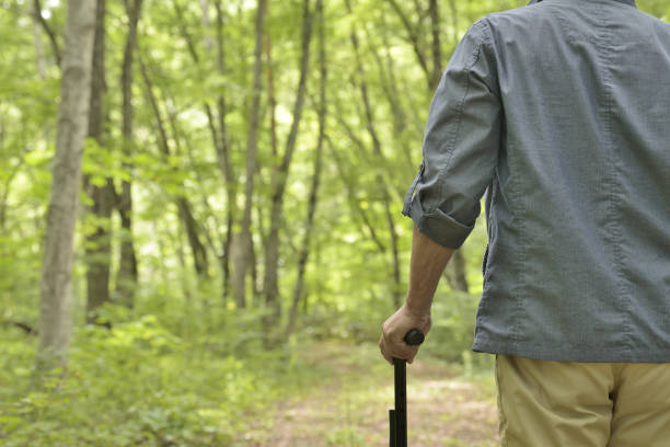 istock An old man's walk in the woods 1160742618