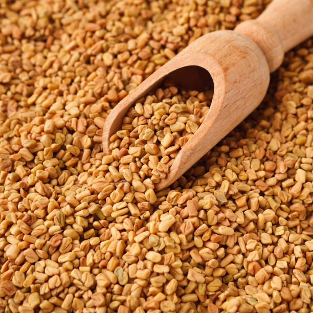 istock Brown aromatic fenugreek seeds isolated on white background 1160744581