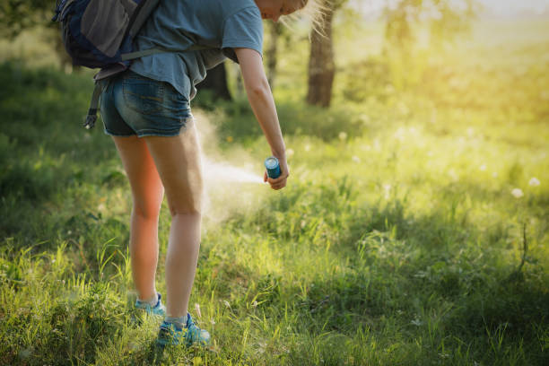 hiker applying mosquito repellent on the leg skin in the forest. - insect repellant imagens e fotografias de stock