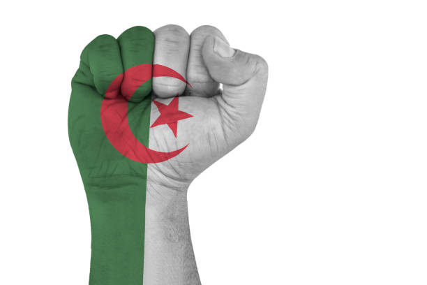male hand in fist shape with flag covered